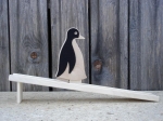 Pinguin natur mit Bahn