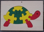 Schildkröte im Rahmen